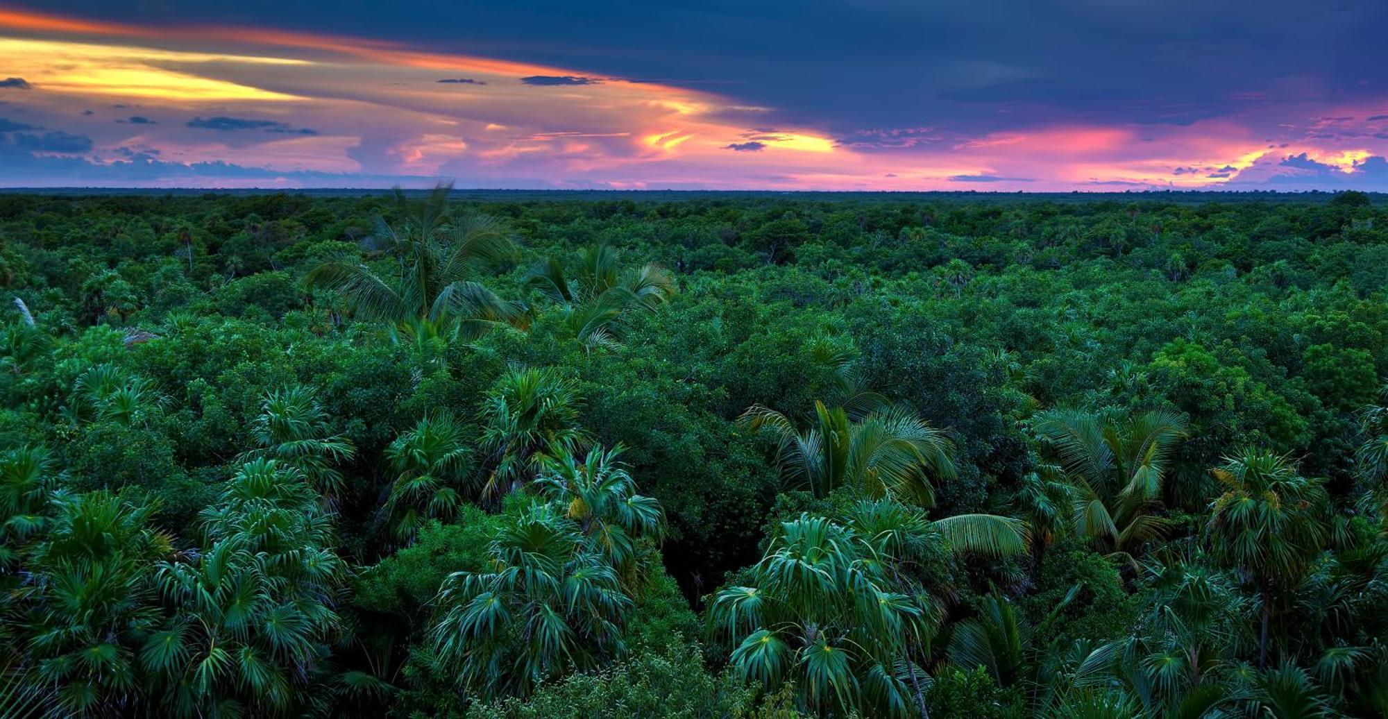 Caiman Lodge - Cuyabeno Nature Amazon Tour Exterior photo